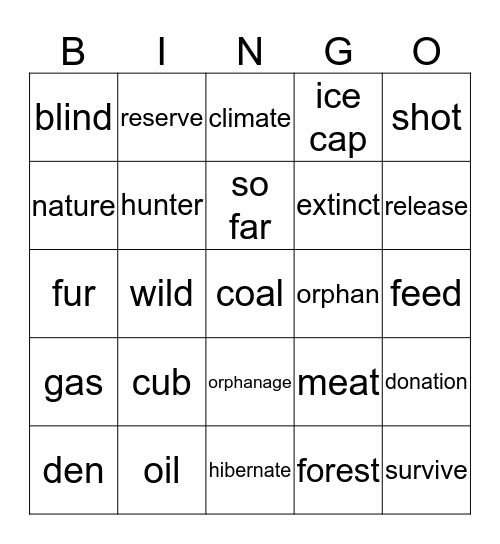 Environment  Bingo Card