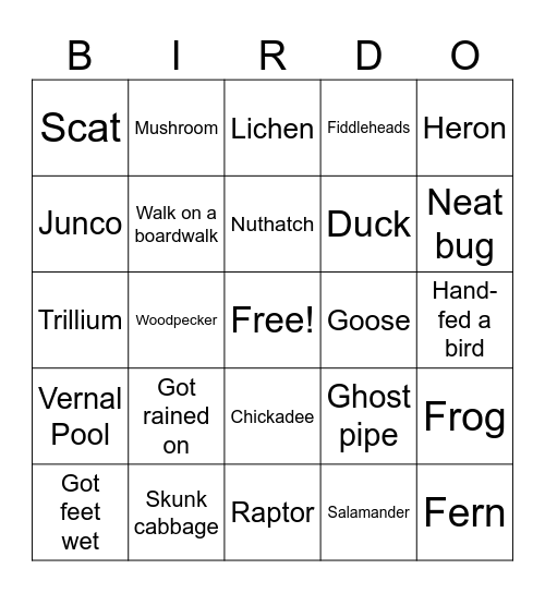 Ipswich Nature Walk Bingo Card