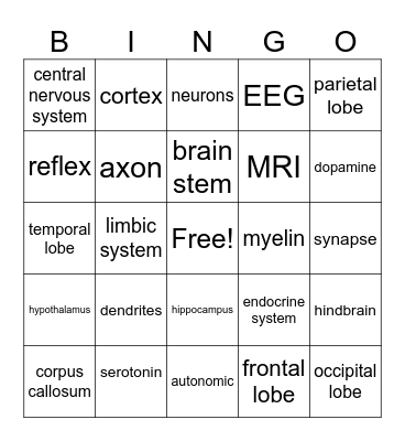 Biological Bases Exam Review Bingo Card