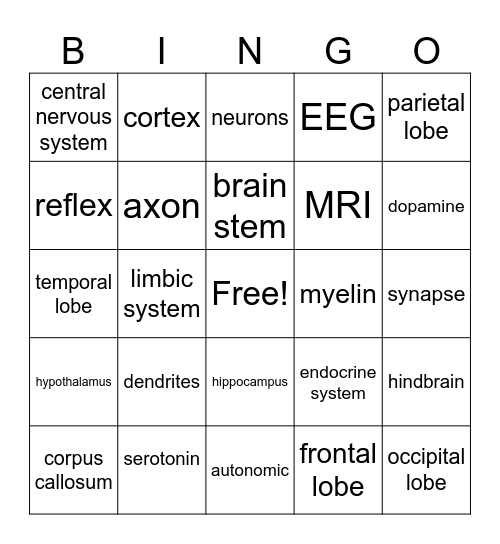 Biological Bases Exam Review Bingo Card