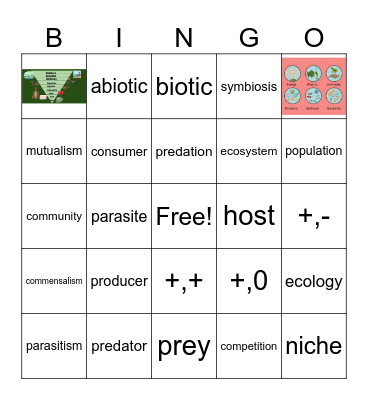 Ecology #1 Vocabulary Bingo Card