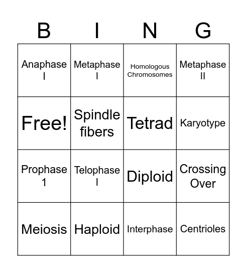 Meiosis Bingo Card
