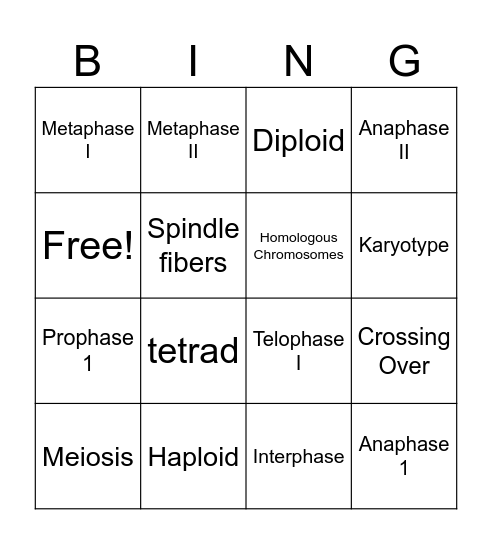 Meiosis Bingo Card