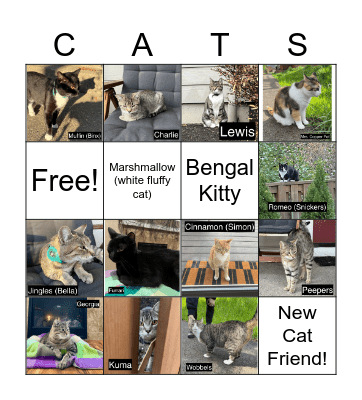 Cat Bingo Card