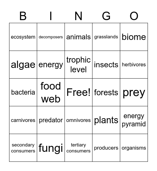 Biodiversity Bingo Card