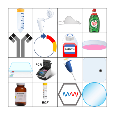 Cell Biology Bingo Card