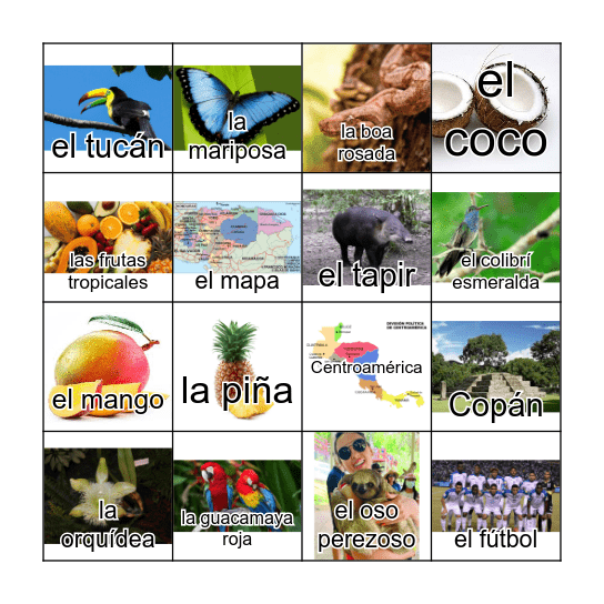 HONDURAS Bingo Card