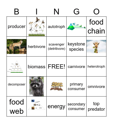 Ecology Bingo Card