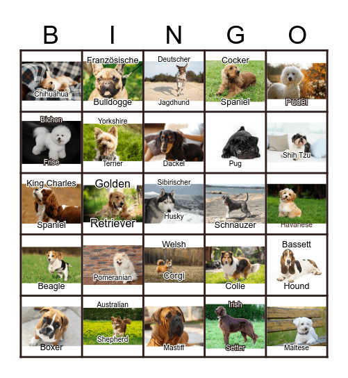 Dogs Bingo Card