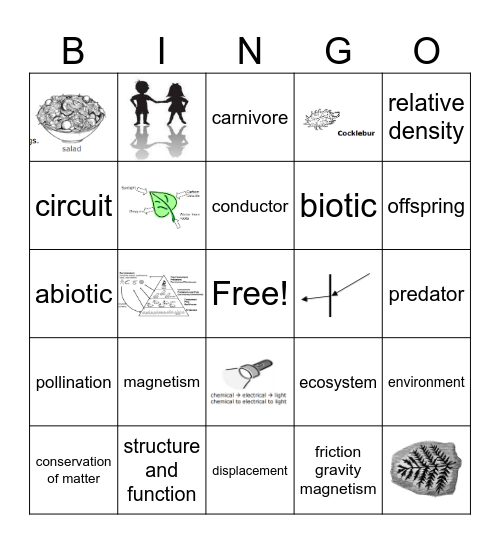 5th Grade Science Bingo Card