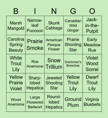 April Wildflowers Bingo Card