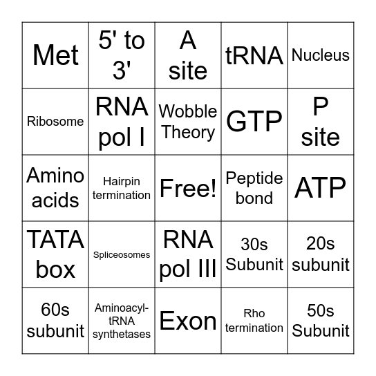 Transcription and Translation Bingo Card