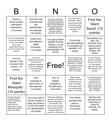 American Museum of Natural History Bingo Card