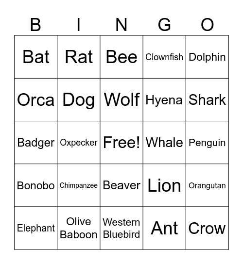 BINGO Card