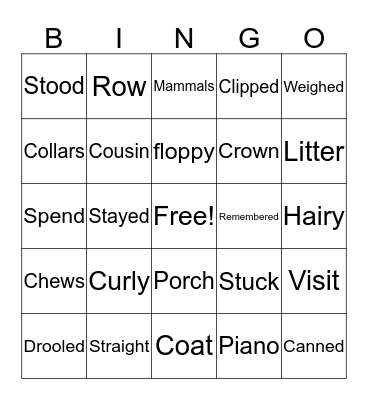 Vocabulary Review  Bingo Card