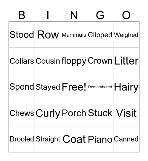 Vocabulary Review  Bingo Card