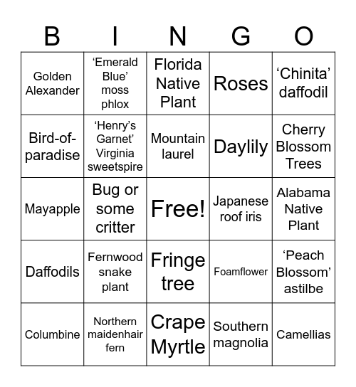 Botanical Gardens Spring hunt !! Bingo Card