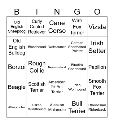 Dawg Bingo Card