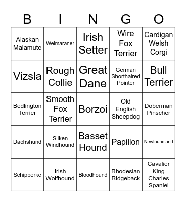 Dawg Bingo Card