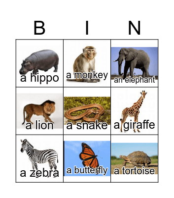 Shine on 1 Animals sounds game Bingo Card