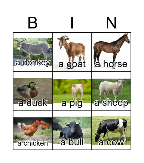 animals shine on 2 Bingo Card