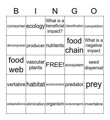 MSA IV Bingo Card