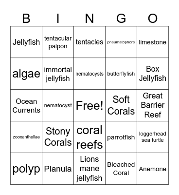 Notable Cnidarians Bingo Card