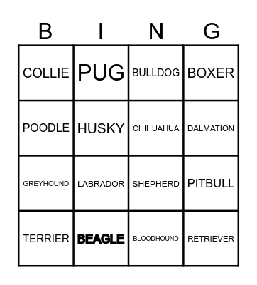 DOG BIRTHDAY PARTY! Bingo Card