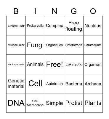 Characteristics of Organisms Bingo Card