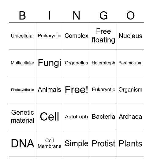 Characteristics of Organisms Bingo Card