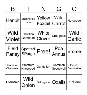 Weed Bingo Card