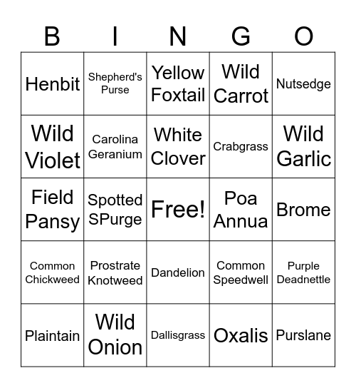 Weed Bingo Card