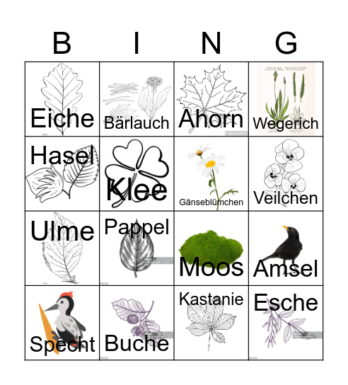 Waldbingo Card
