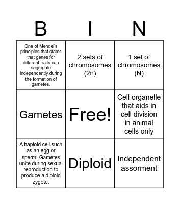 B.8A Bingo Card