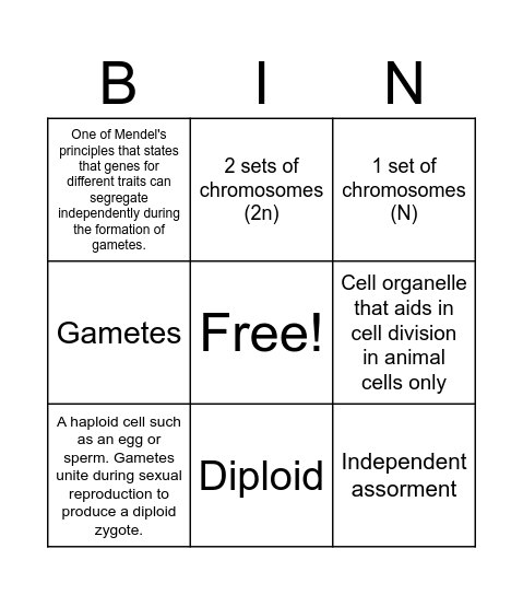 B.8A Bingo Card