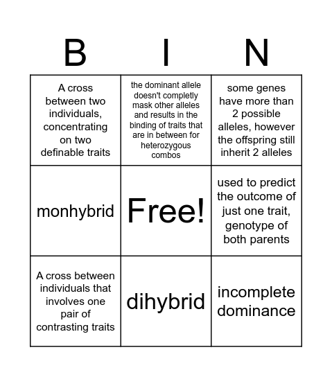 B.8B Bingo Card