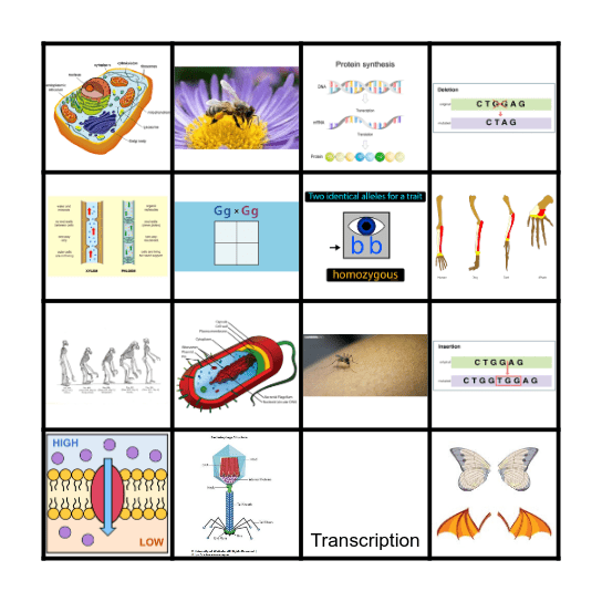 Biology Loteria Bingo Card