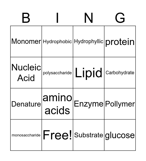 Organic Chemistry Bingo Card