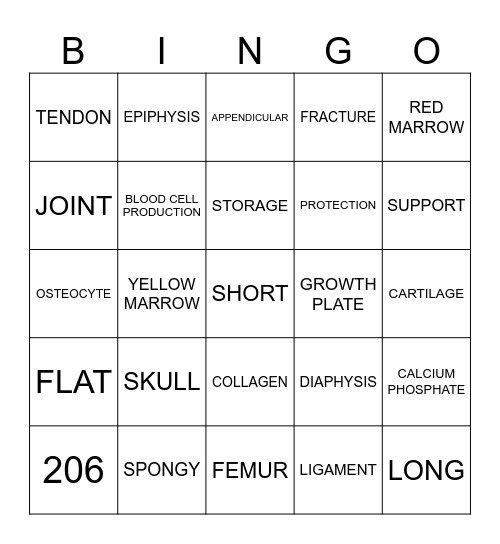 SKELETAL SYSTEM BINGO! Bingo Card