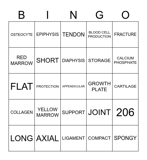 SKELETAL SYSTEM BINGO! Bingo Card