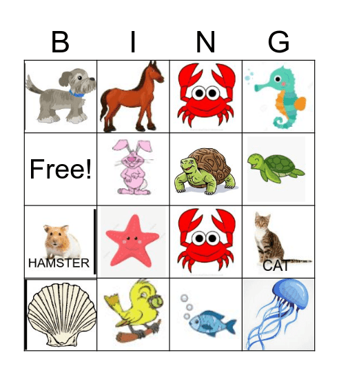 Sea animals and pets Bingo Card