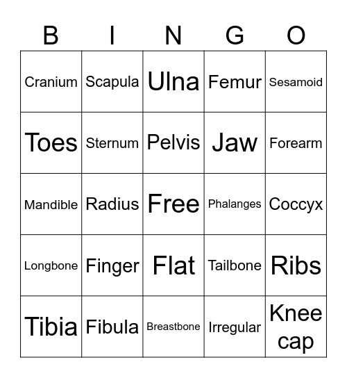 Skeletal System Bingo Card