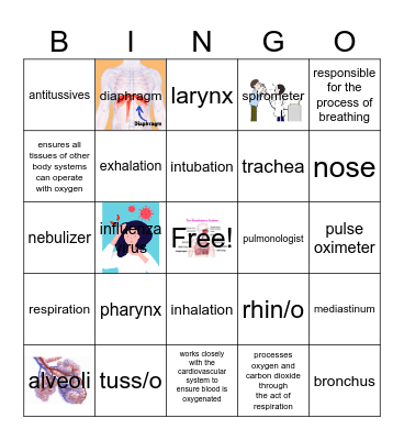 Respiratory System Bingo Card