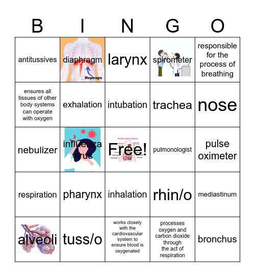 Respiratory System Bingo Card