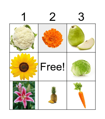 Flower, Fruit, or Vegetable? Bingo Card