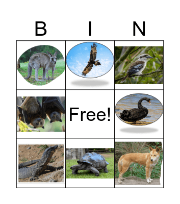 YAGARA ANIMALS BINGO Card
