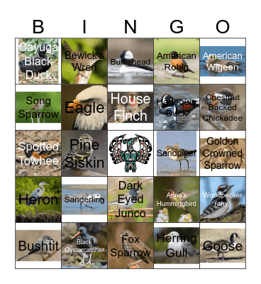 BIRD BINGO Card