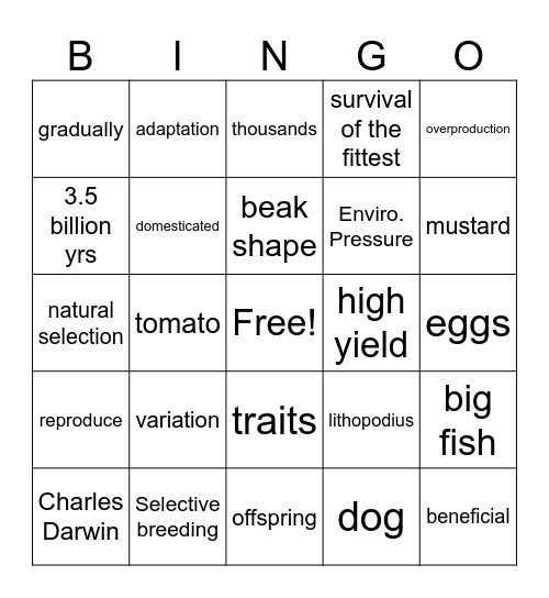 Natural vs. Artificial Selection Bingo Card