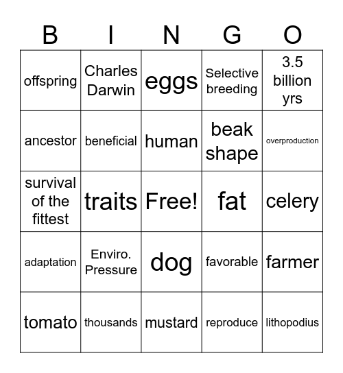 Natural vs. Artificial Selection Bingo Card