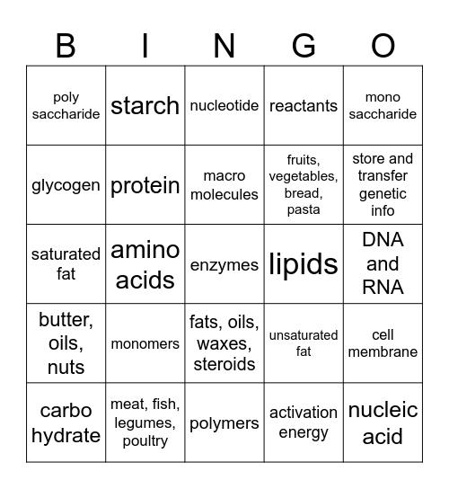 BIOLOGY MACROMOLECULES Bingo Card